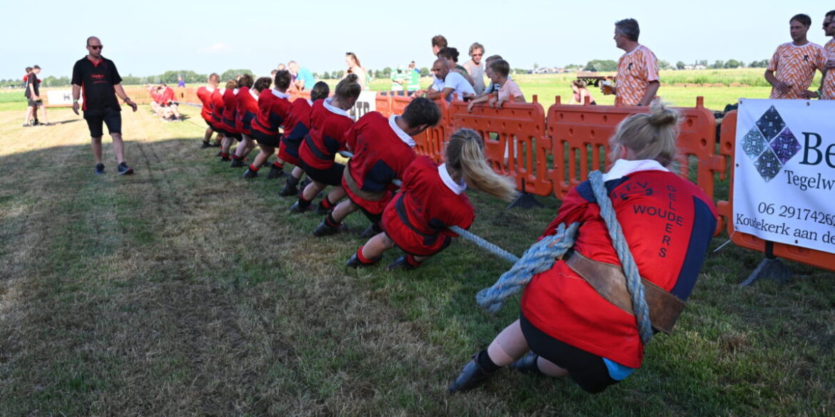 DSC_2555-1200×600.jpg